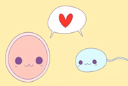 /uploads/200808/1-200PQ6143T18.png