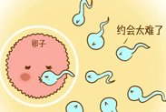 /uploads/200808/1-200PQ61506446.png
