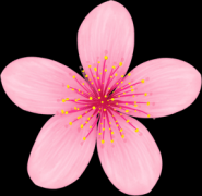 /uploads/allimg/231209/1T3453561-0-lp.jpg