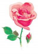 /uploads/allimg/250822/114Z2E53-0-lp.jpg